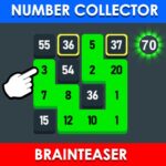 Number collector: puzzle
