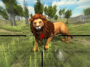 Lion Hunt 3D