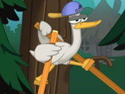 Image Walking master